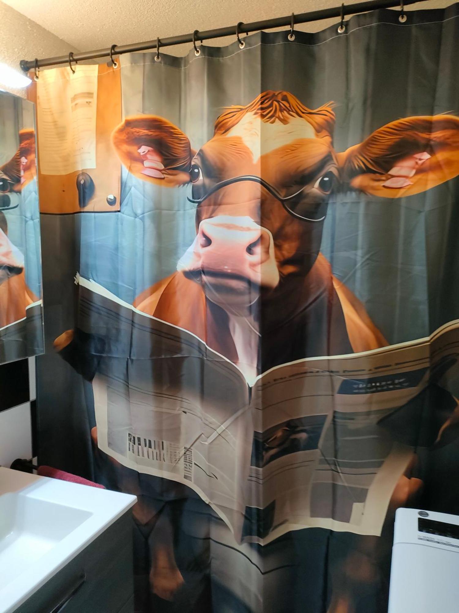 Appartamento Camenzind Gersau Esterno foto
